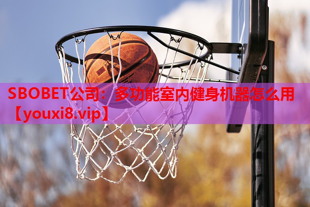 SBOBET公司：多功能室内健身机器怎么用