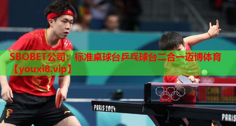 SBOBET公司：标准桌球台乒乓球台二合一迈博体育