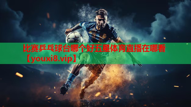 比赛乒乓球台哪个好五星体育直播在哪看