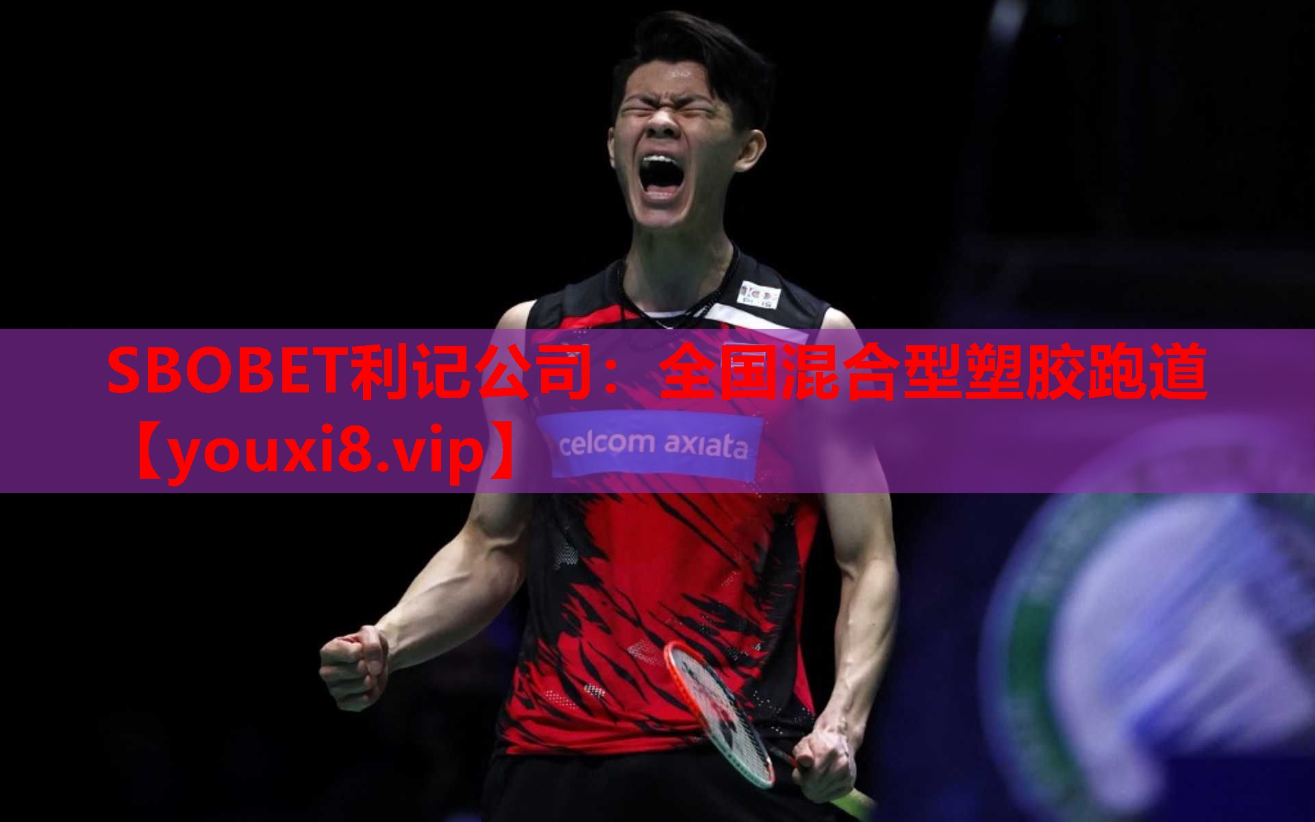 SBOBET利记公司：全国混合型塑胶跑道